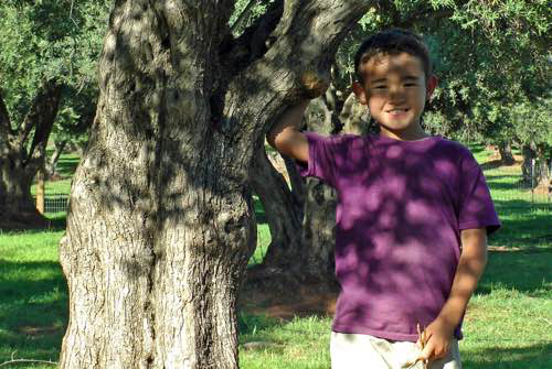My Image